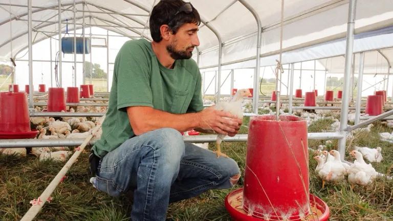 We don't cut corners